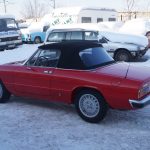 Alfa Romeo Spider
